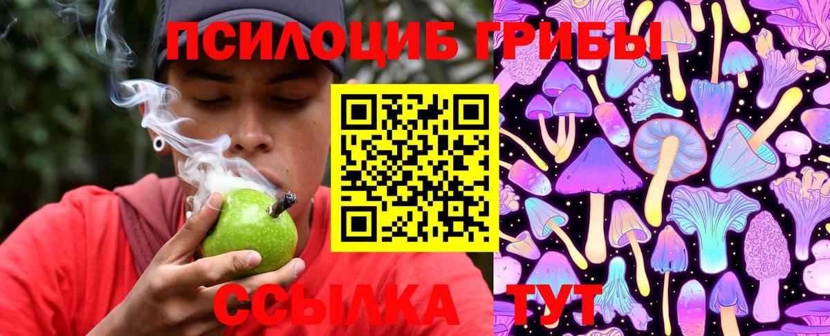 Псилоцибиновые грибы MAGIC MUSHROOMS  Галлюциногенные грибы мицелий  Чапаевск  Вход с VPN 